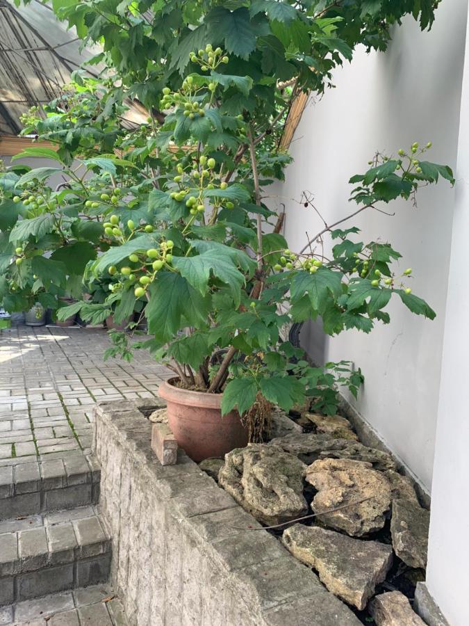 Uneed Sport Hostel โอเดสซา ภายนอก รูปภาพ